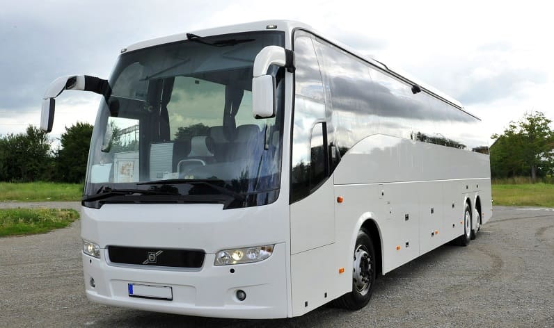 Greece: Buses agency in Crete in Crete and Chanía