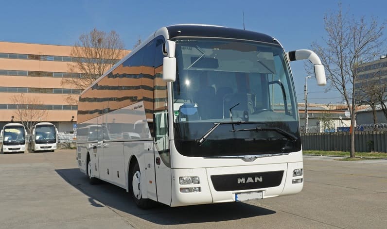 Attica: Buses operator in Áno Liósia in Áno Liósia and Greece